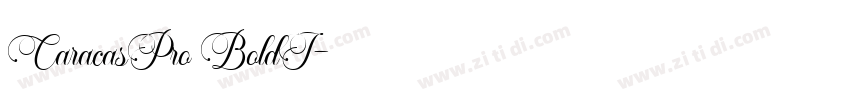CaracasPro BoldI字体转换